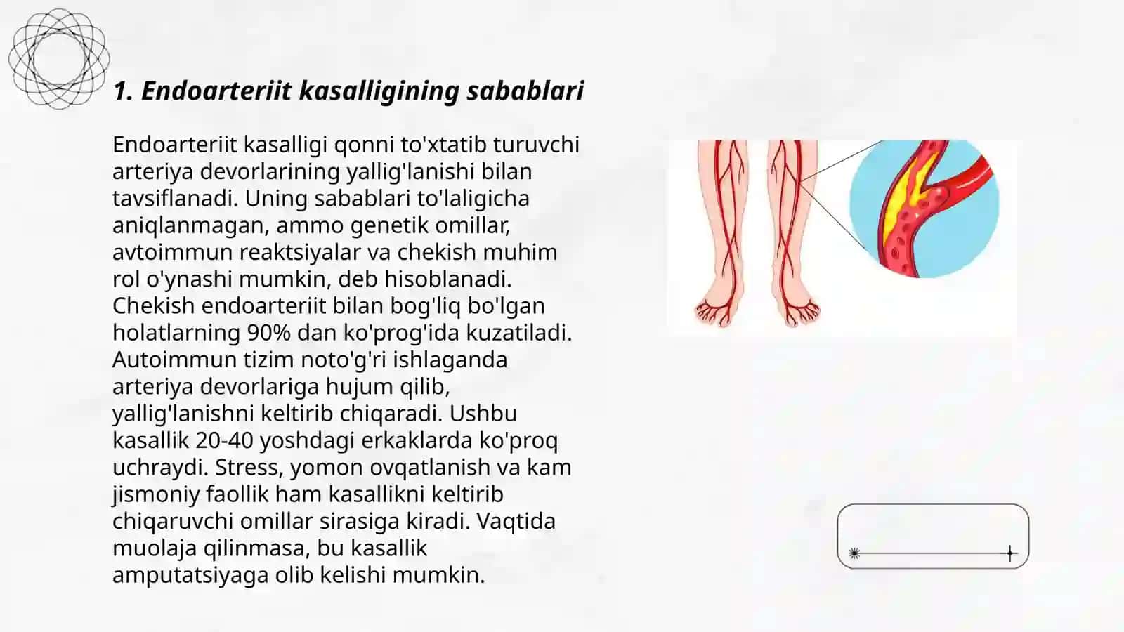 Endoarteriit 3