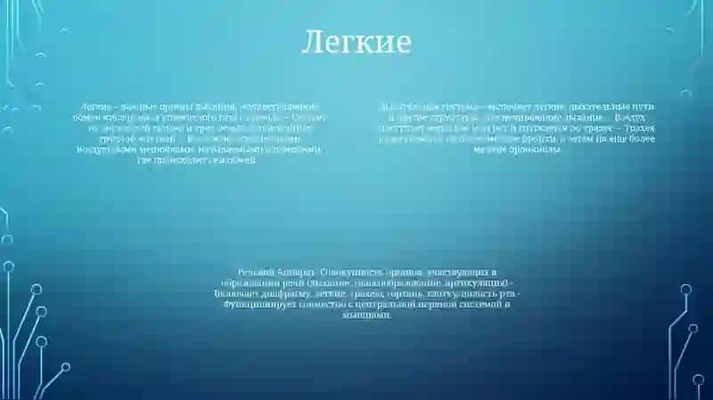 Речевой Аппарат 3