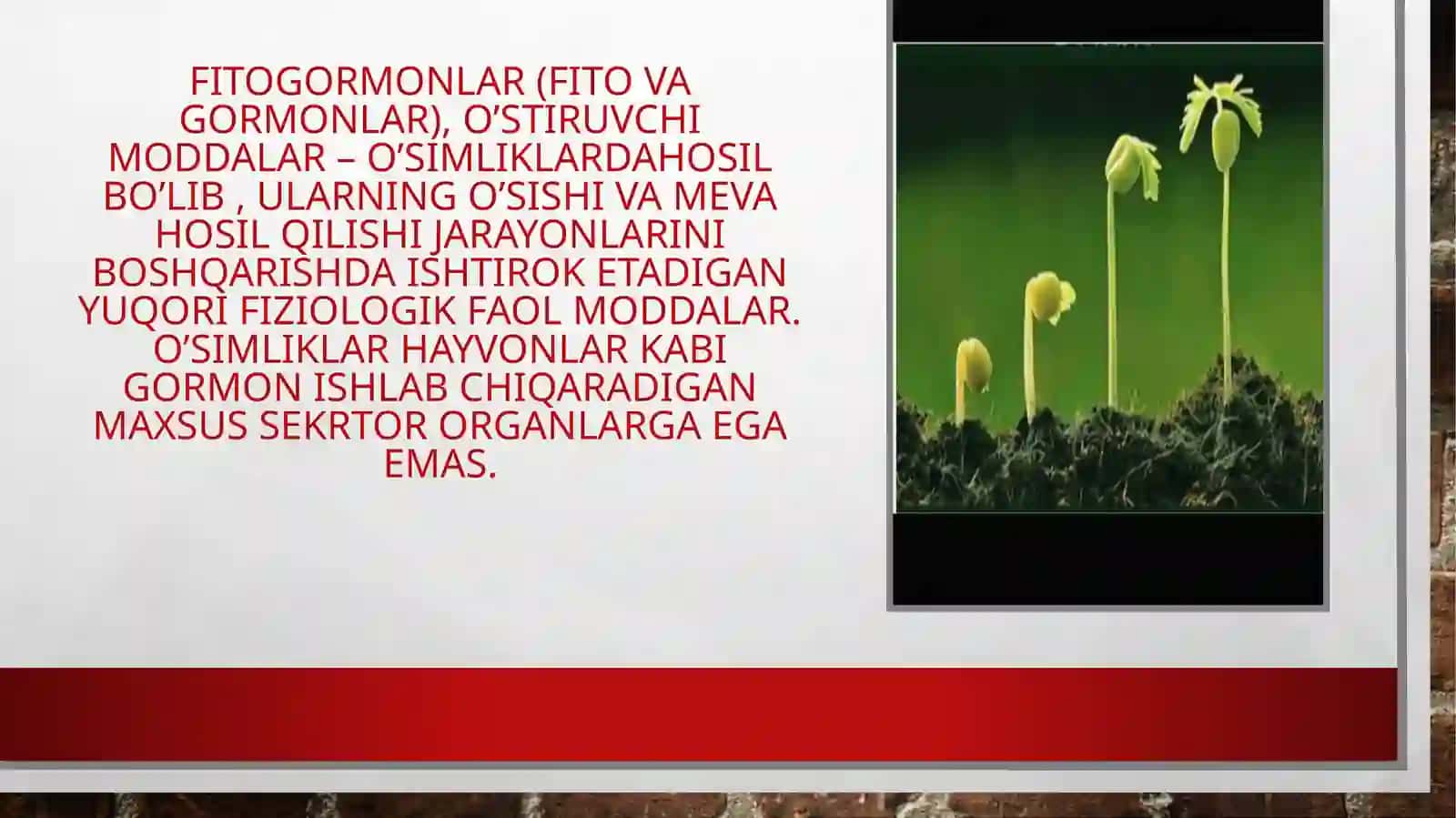 Fitogormonlar-fizilogik faol moddalar 3