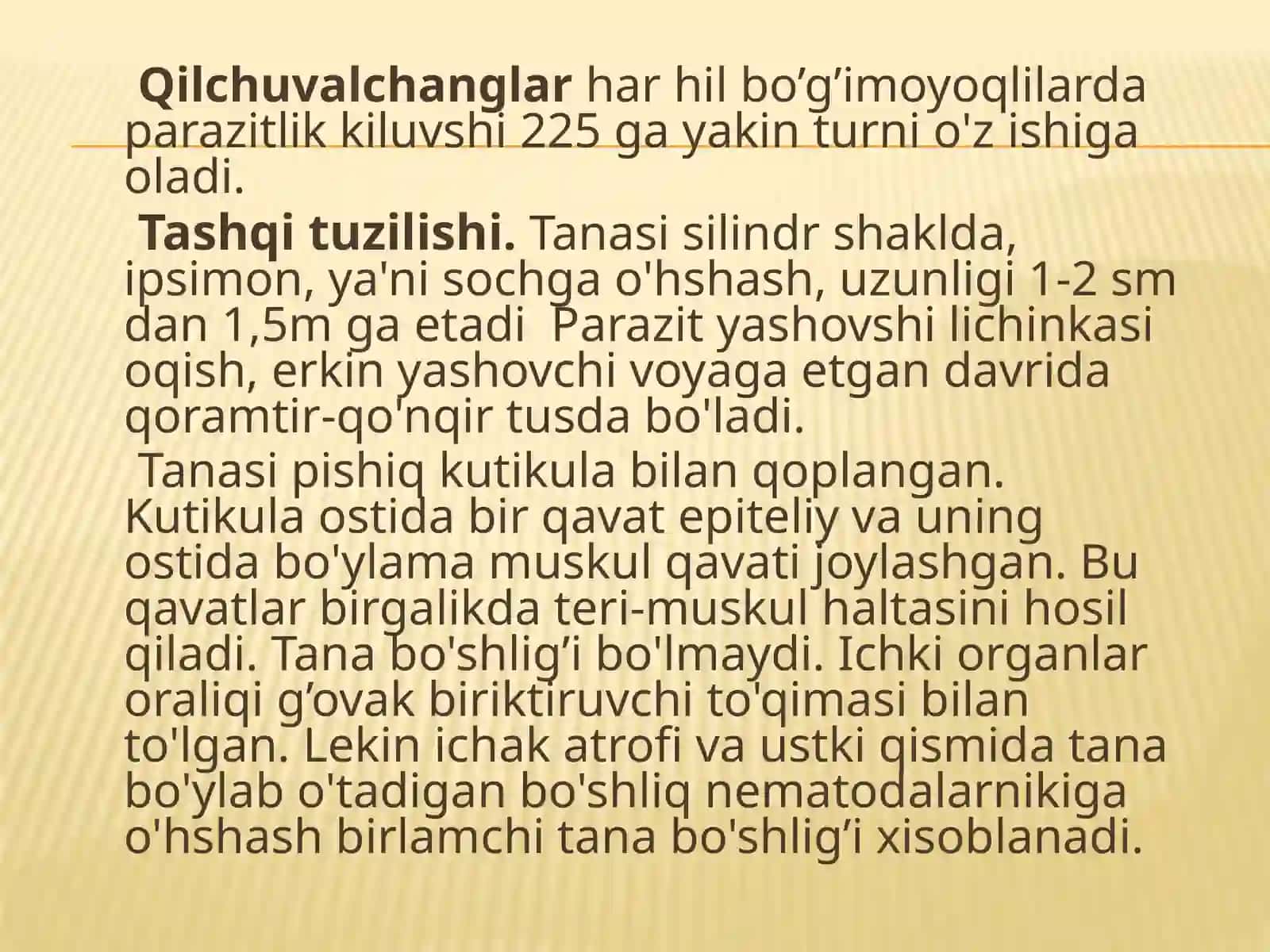 Qilchuvalchanglar sinfi 3