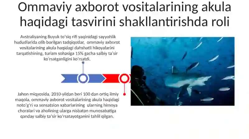 Akulalar haqida tadqiqotlar 3