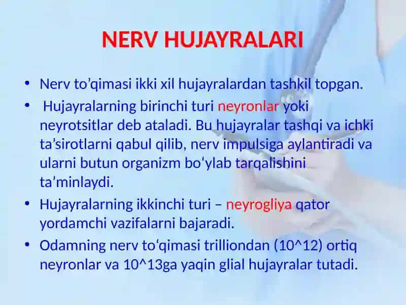 NERV TO’QIMASI 3