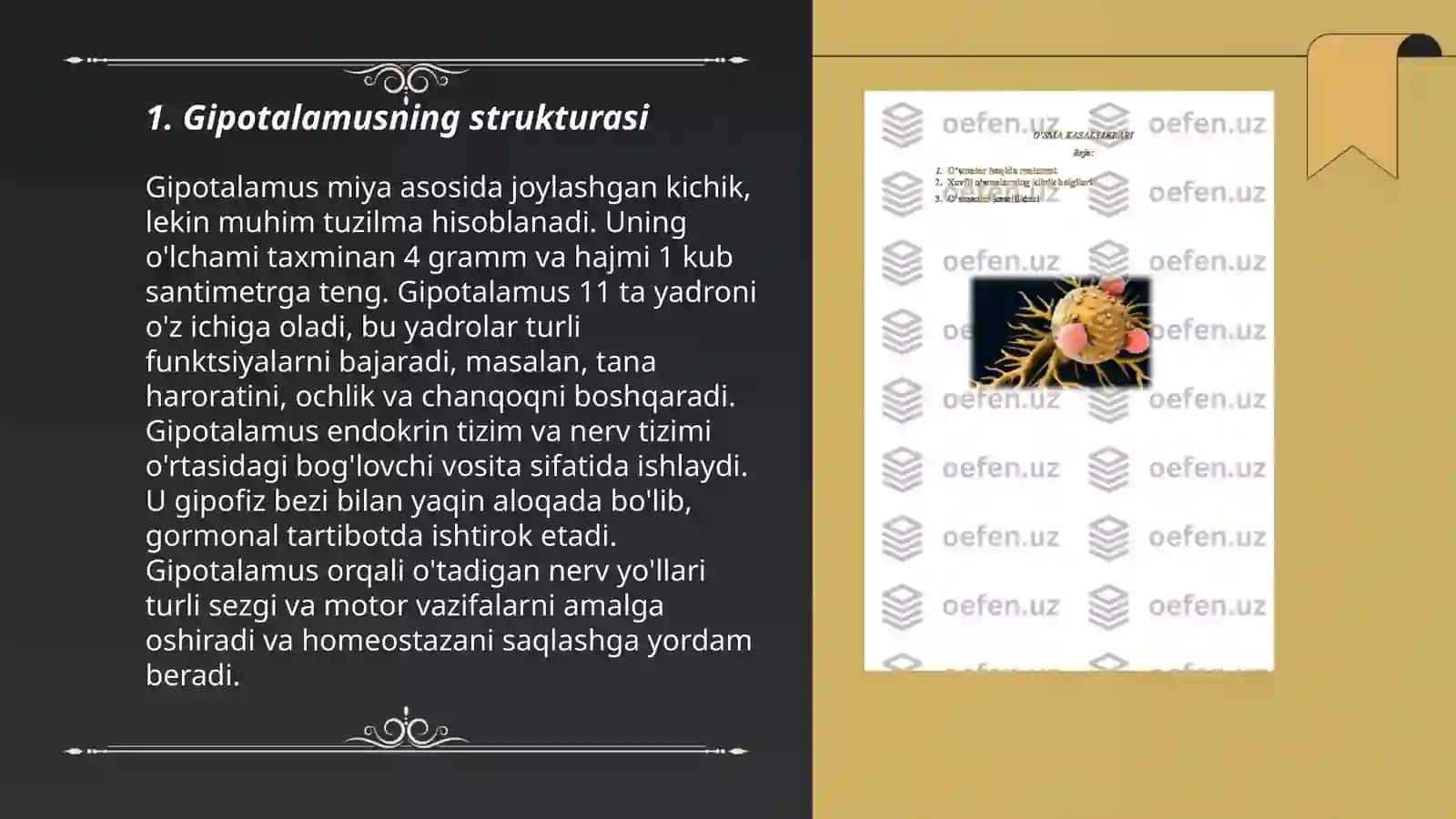 GIPOTALAMUS ÕZAKLARI VANULARNING KLINIK AHAMIYATI 3