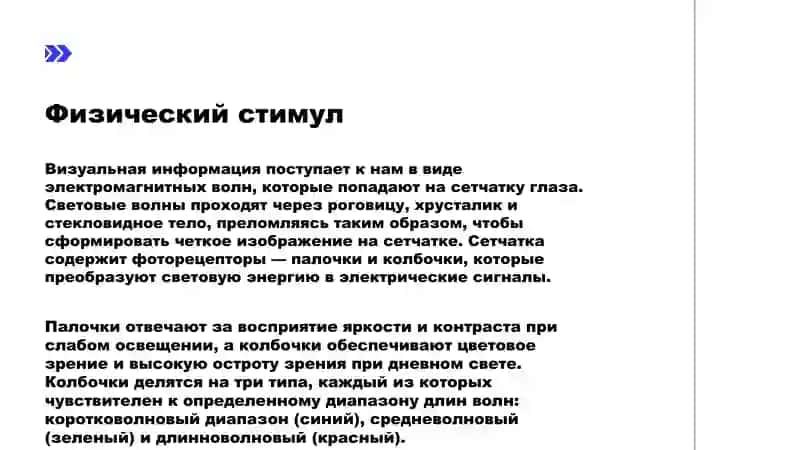 ЗРИТЕЛЬНАЯ ПЕРЦЕПЦИЯ 3
