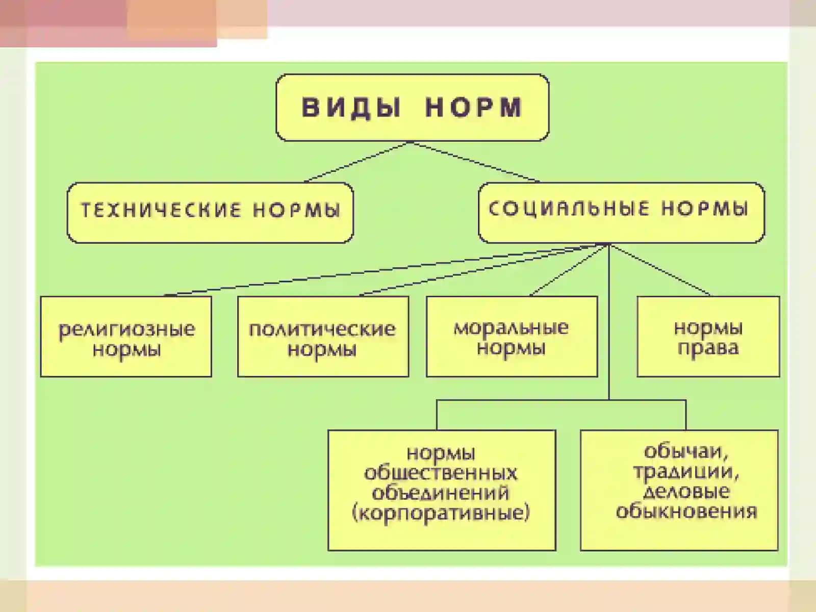 Социальная норма 3