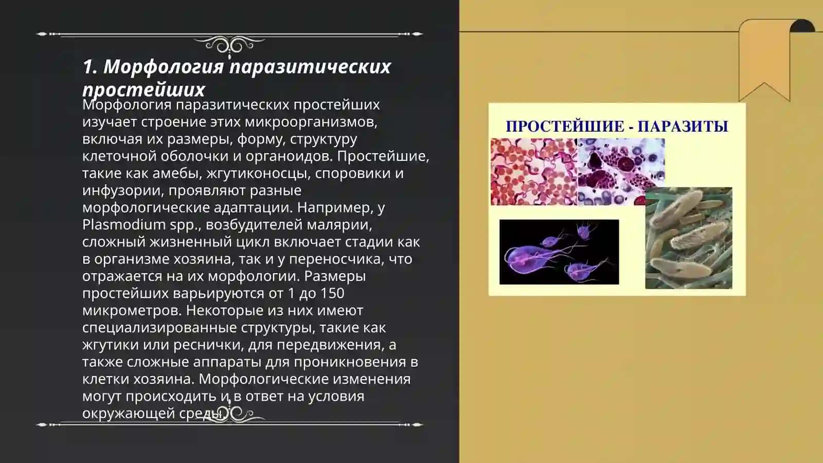 Паразитически простые животные 3