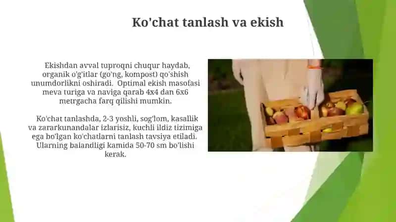 Mevalar. Mevali bogʻlar barpo etish 3