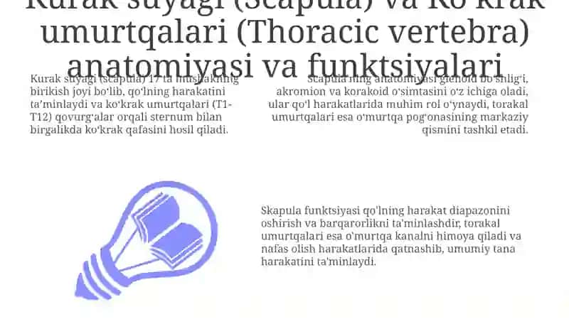 Kurak suyagi va Ko'krak umurtqalari 3