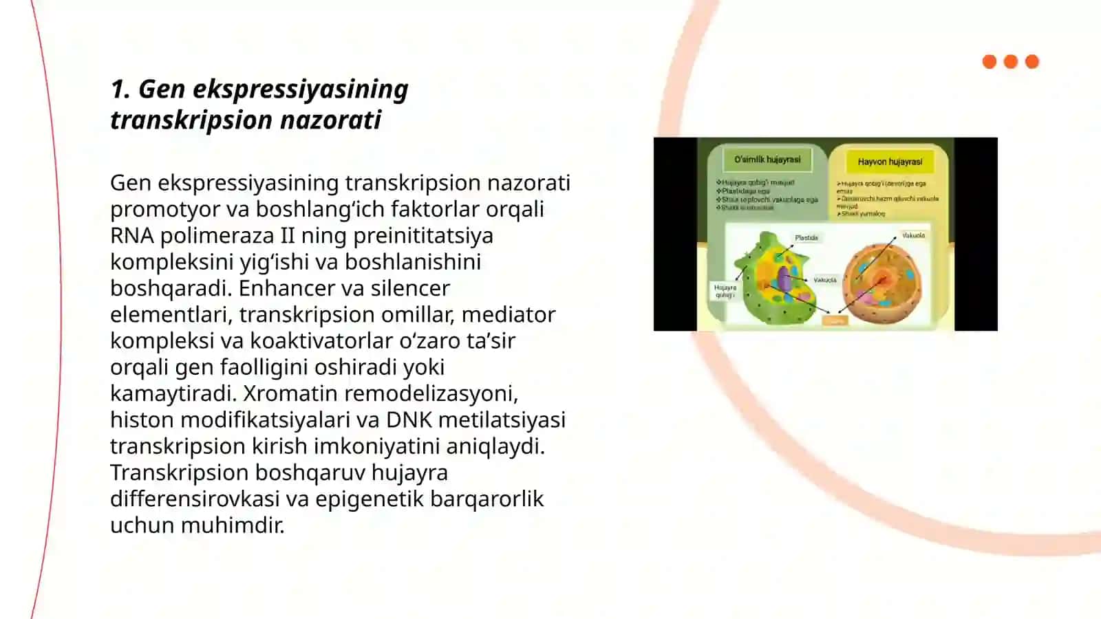 Genlar ta'sirini boshqarilishi, hujayra differensirovkasi 3