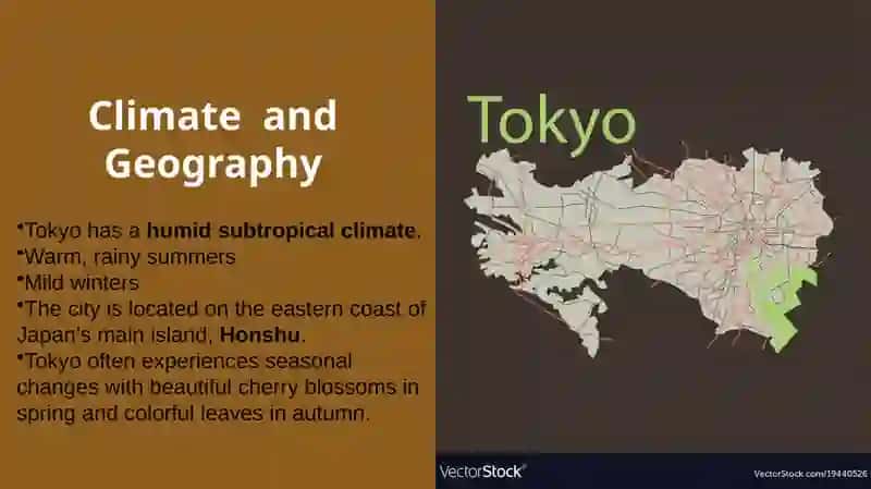 A City I Would Like to Visit: Tokyo, Japan 3