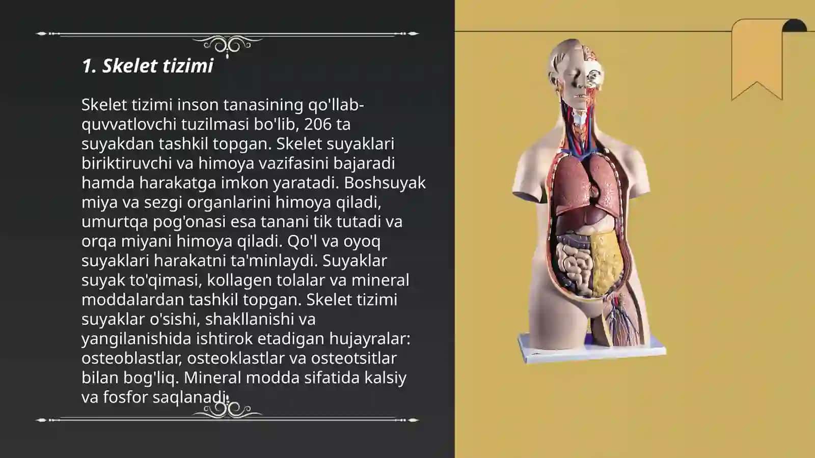 Inson anatomiyasi 3
