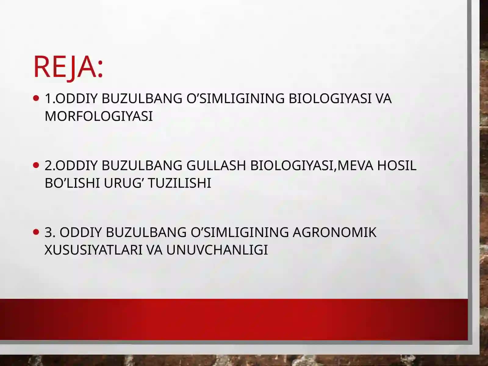 Oddiy Buzulbang (Lagochilus inebrians Bunge) 3