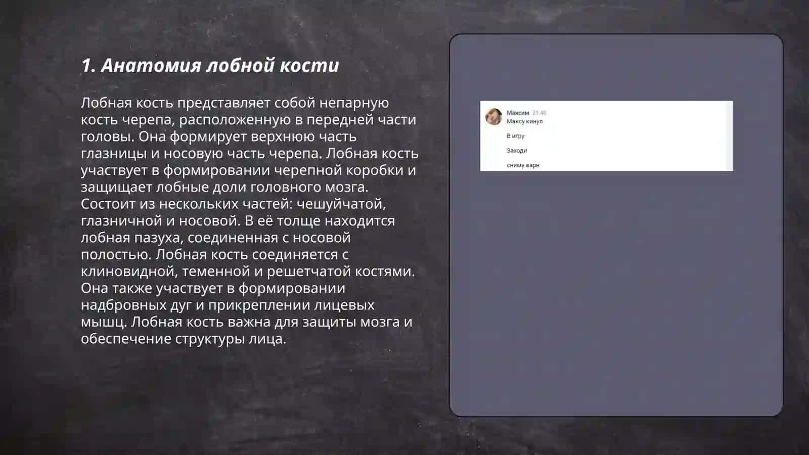 Анатомия лобной кости 3