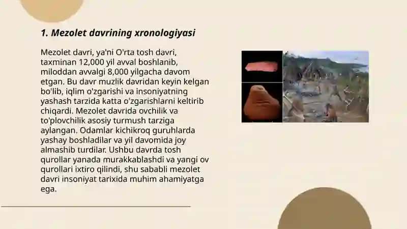 Mezolet davri 3