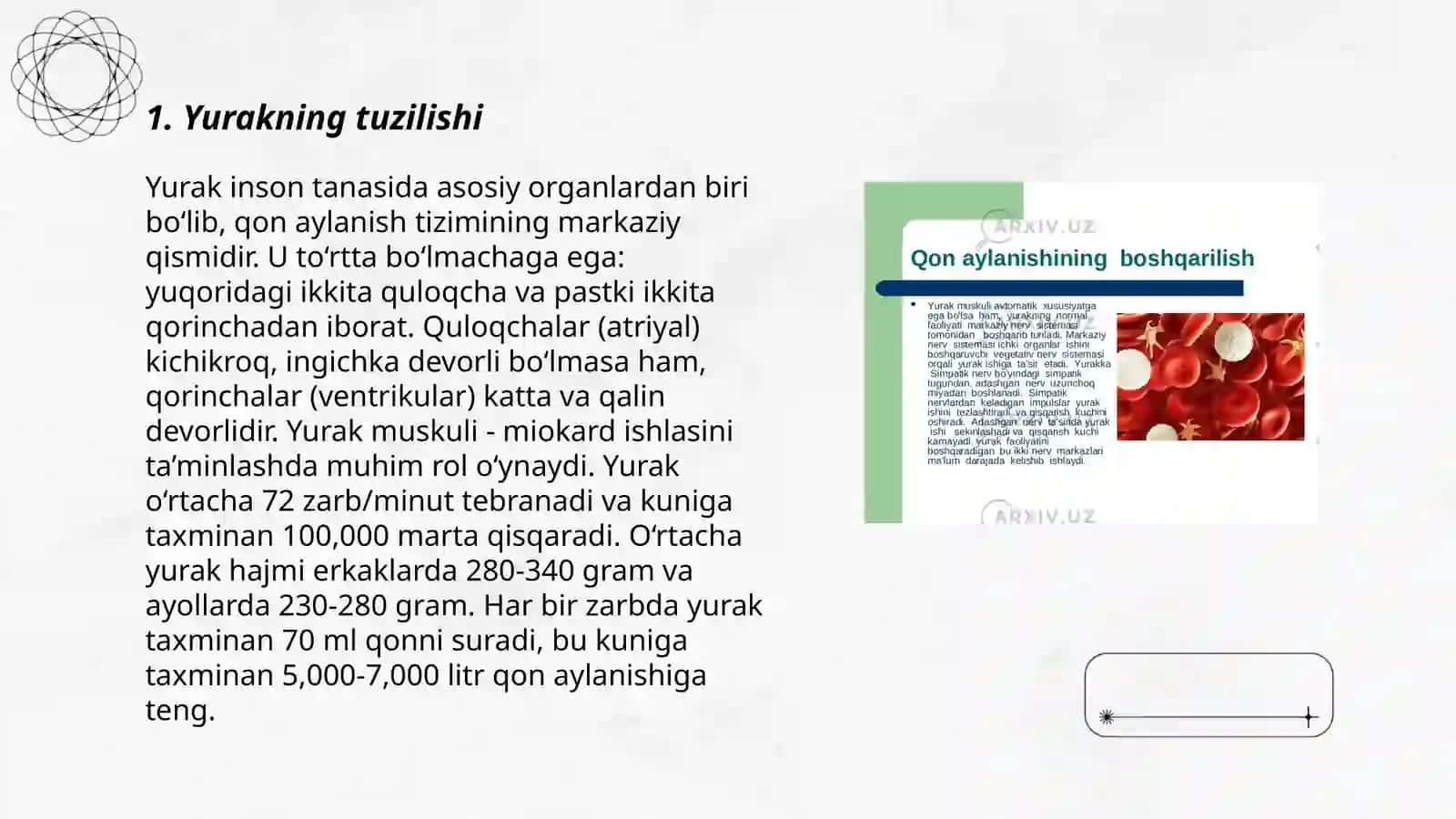 Yurakning tuzilishi 3