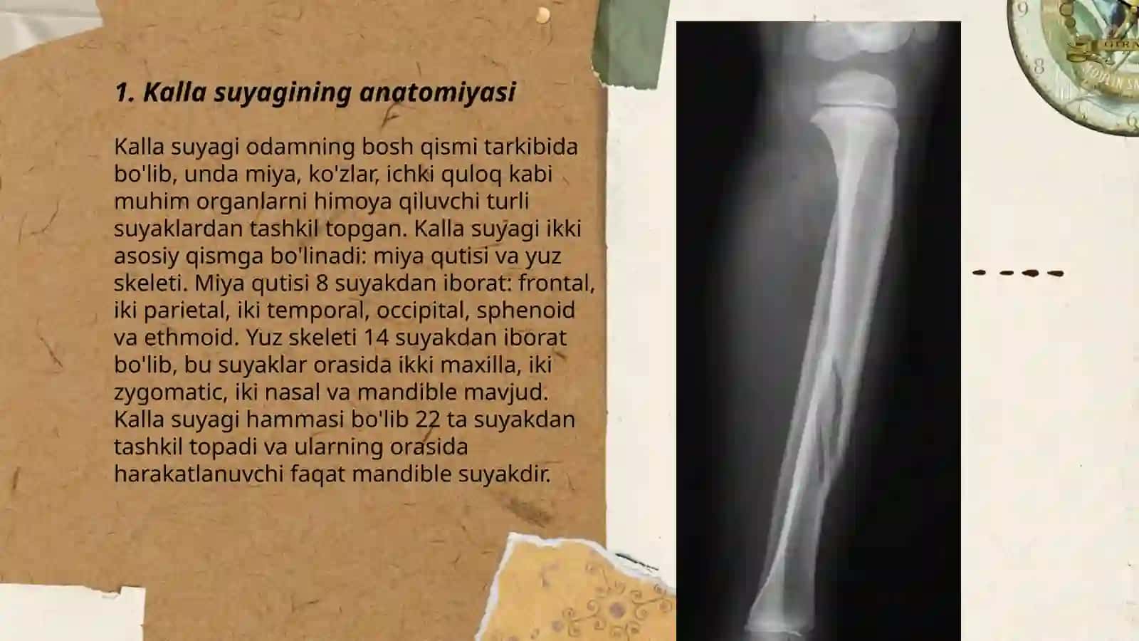 Kalla suyagi konstitusional turlari 3