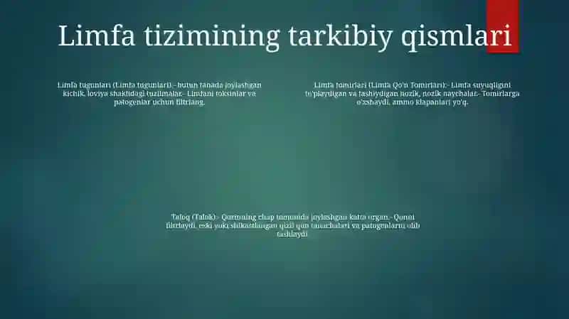 Limfaning Xosil Bolishi Tarkibi Va Vazifalari 3