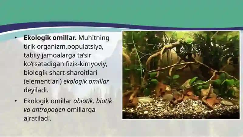 Muhit va ekologik omillar 3