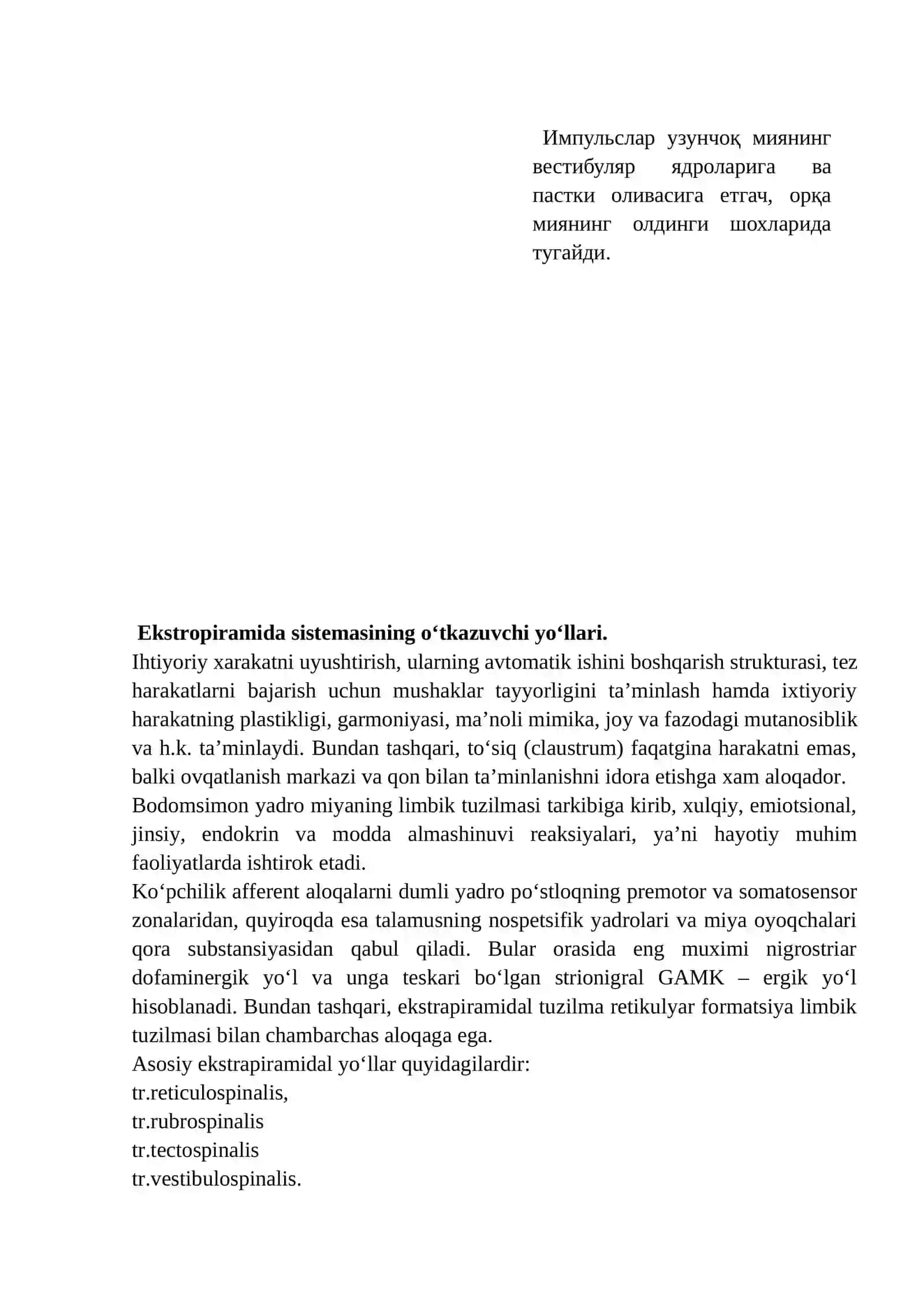 Ekstrapiramida tuzilmasi 3