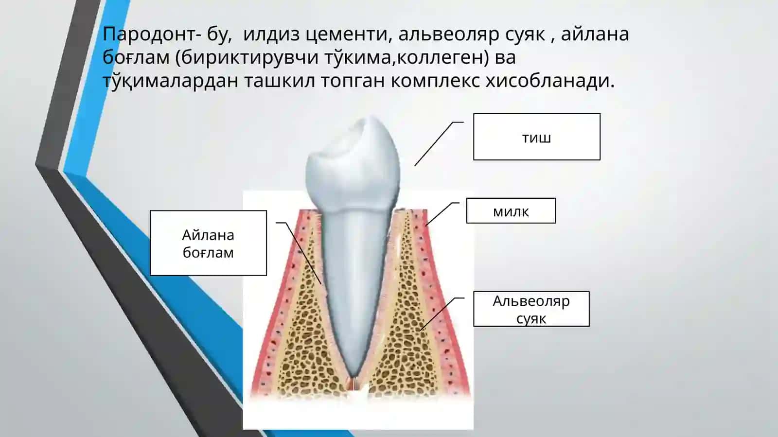 Тишсақловчи операциялар 3
