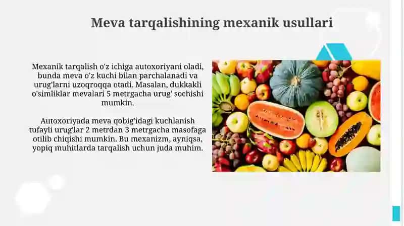 Meva tarqalishining mexanik usullari 3
