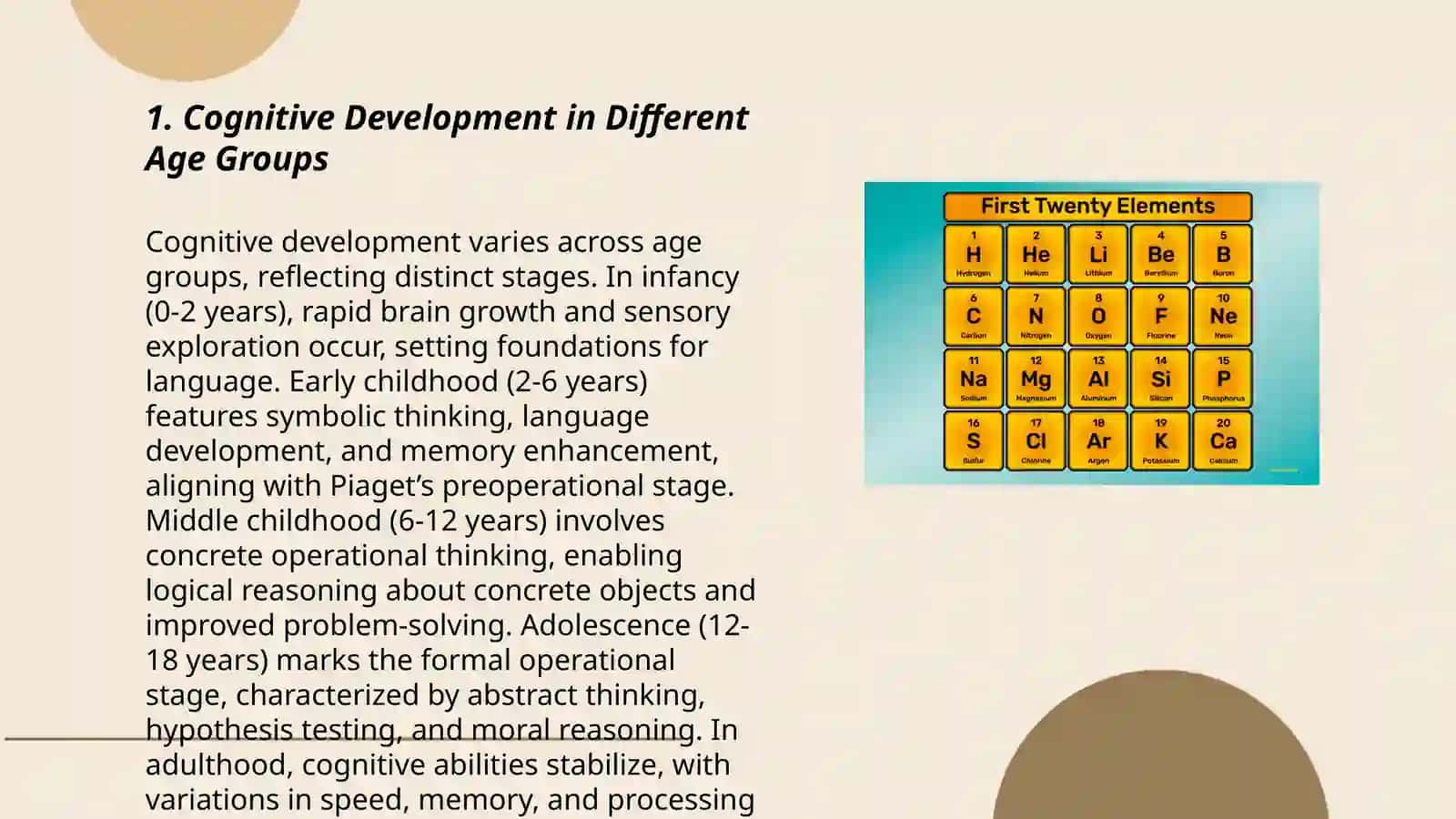 Cognitive Development in Different Age Groups 3