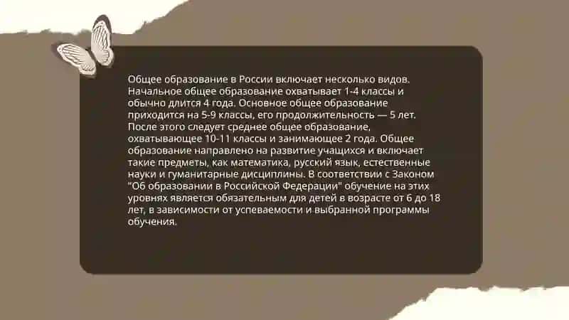 Виды образования и формы образовательной организации 3