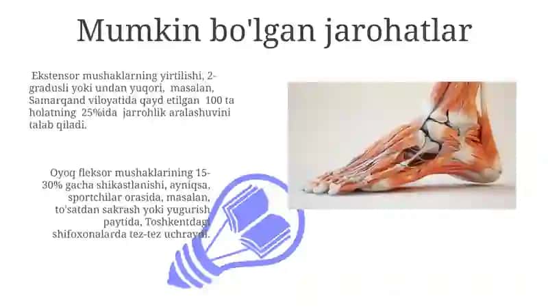 Mushaklarning Hamkorligi va Funktsiyasi 3
