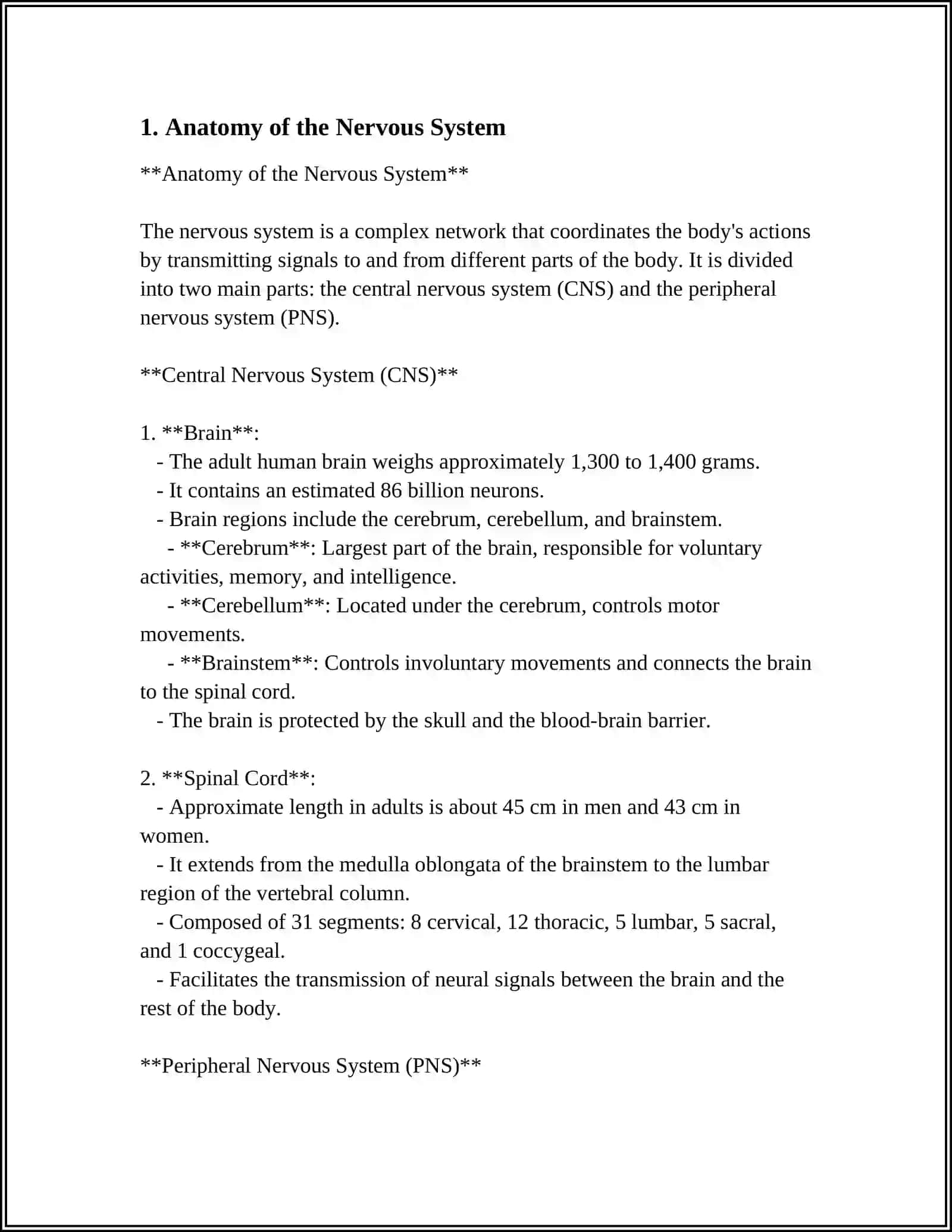 Anatomy of the Nervous System 3