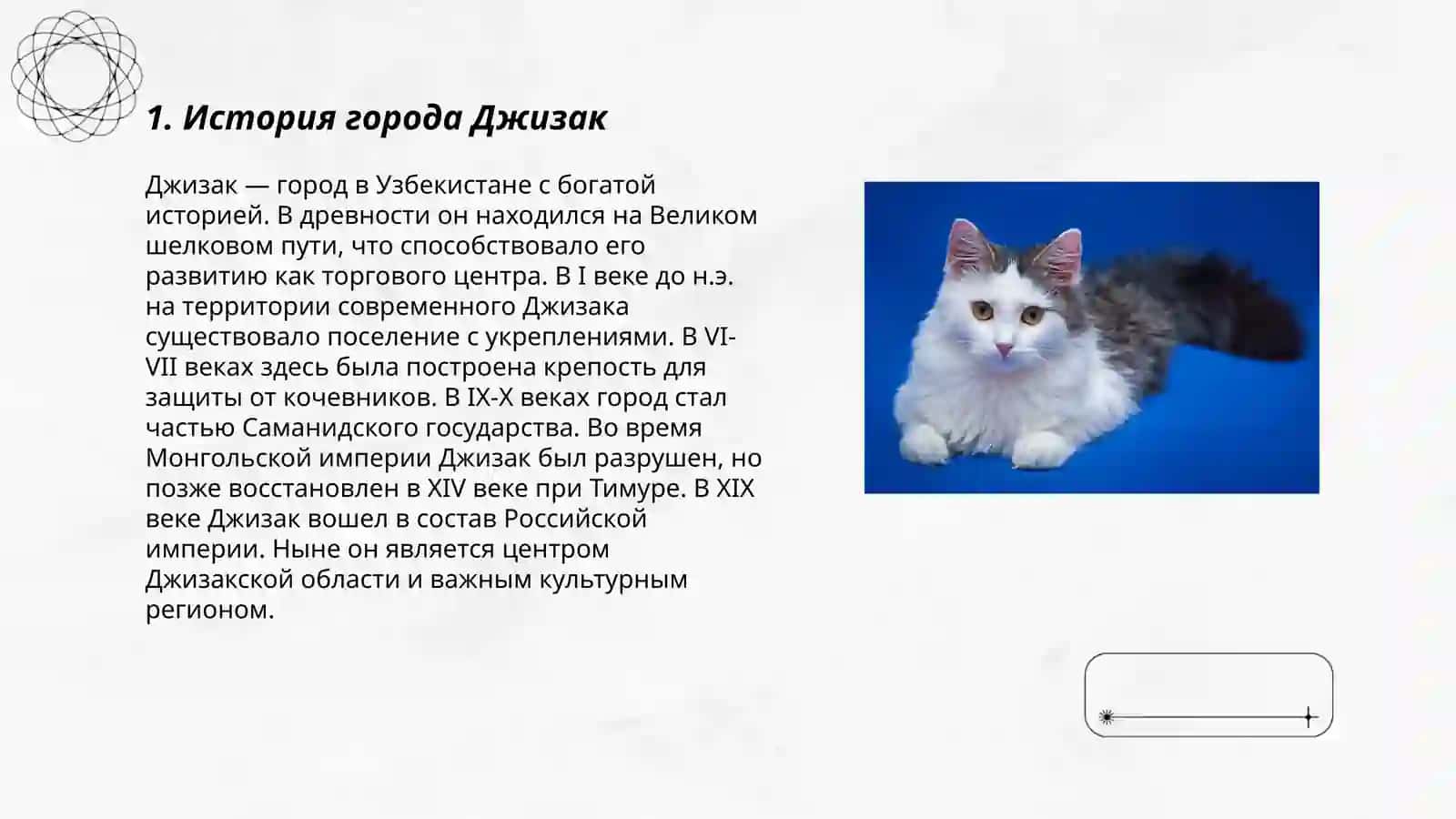 Мой город(Джизак), гимн, герб и флаг Узбекистане 3