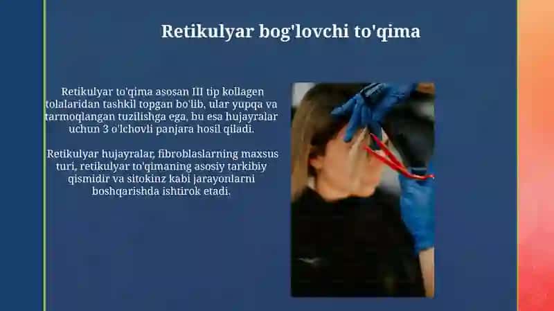 Retikulyar toʻqima 3