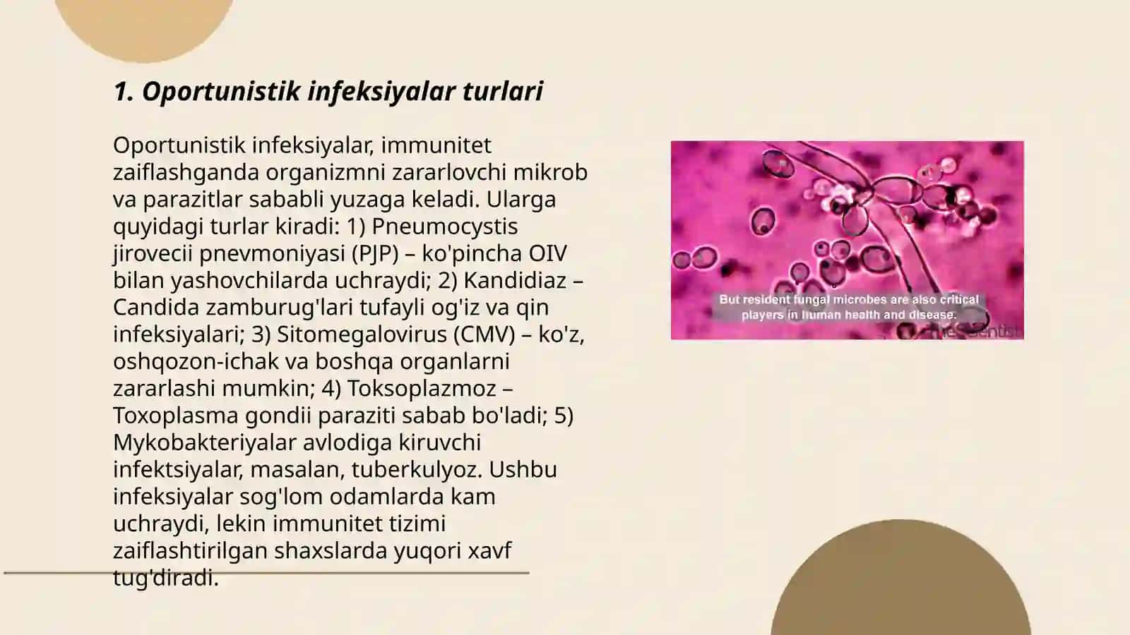 Oportunistik Infeksiyalar Qozg'atuvchilari 3