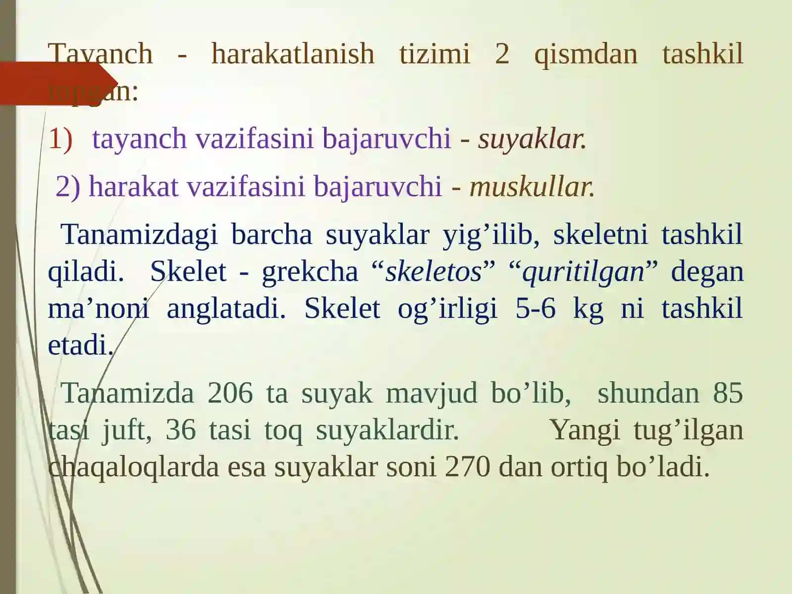 Tayanch-harakatlanishtizimi. Osteologiya.Suyaklar tuzilishi,tarkibi va vazifasi.Raxit kasalligi 3