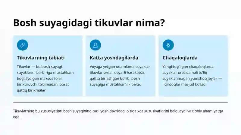 Bosh suyagining tikuvlari va birikishlari 3