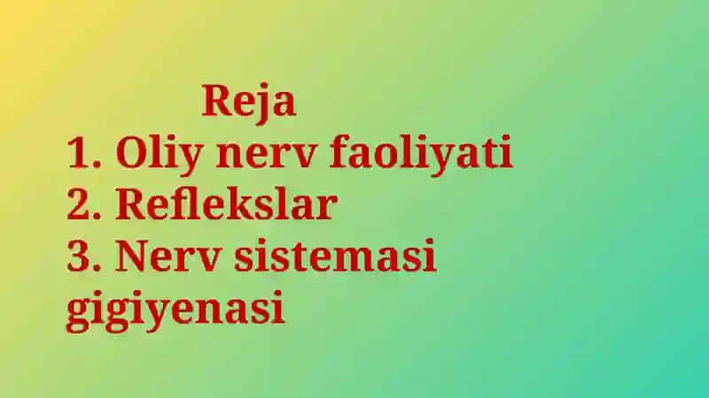 Nerv tizimining ahamiyati va gigiyenasi 3