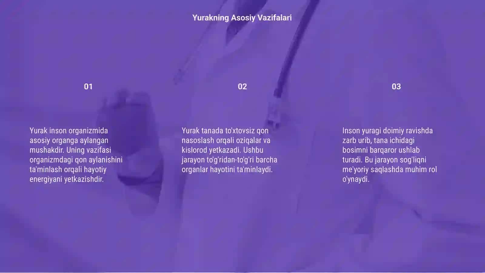 Yurak 3