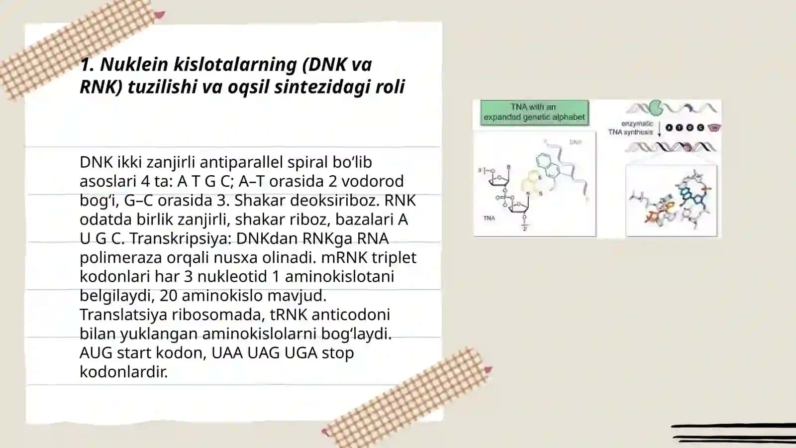 Nuklein kislotalar, oqsil sintezining stimulyator va ingibitorlari 3