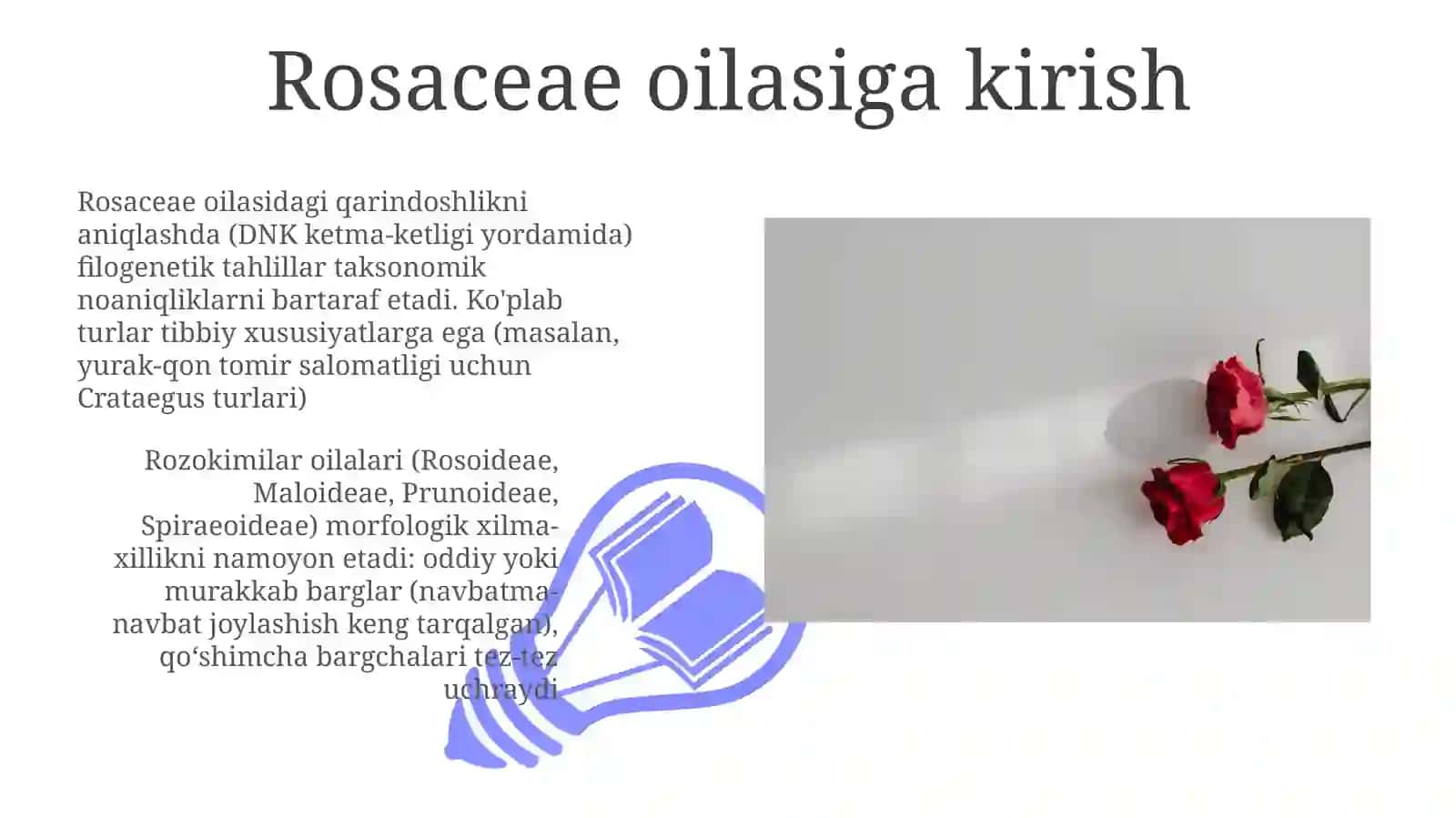 Atirguldoshlar 3