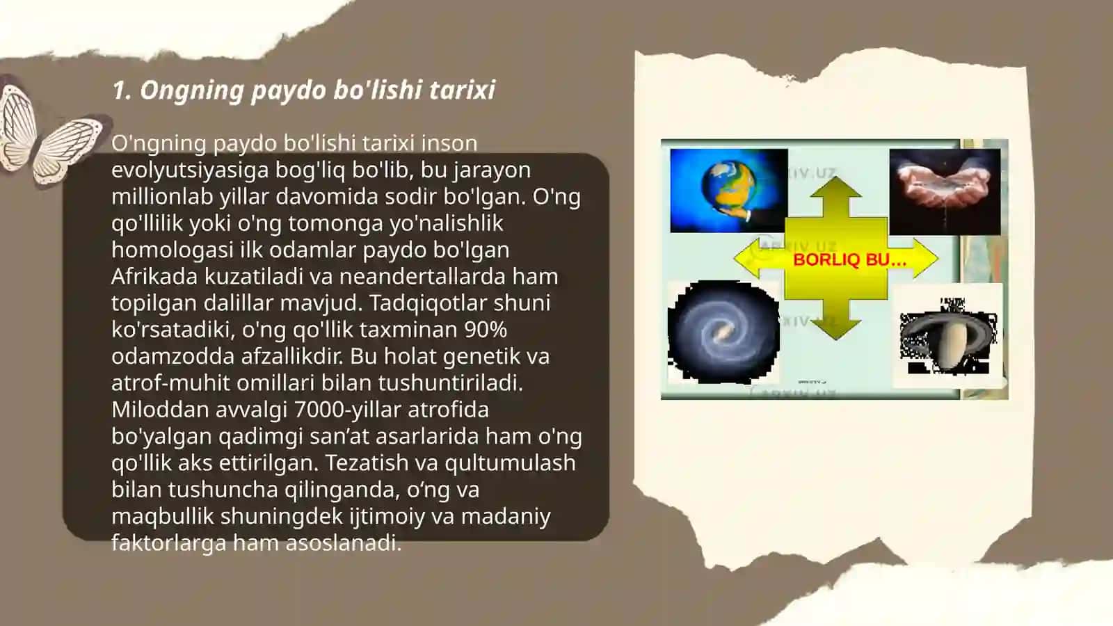 Ongning paydo bo'lishi va uning taraqqiyoti 3