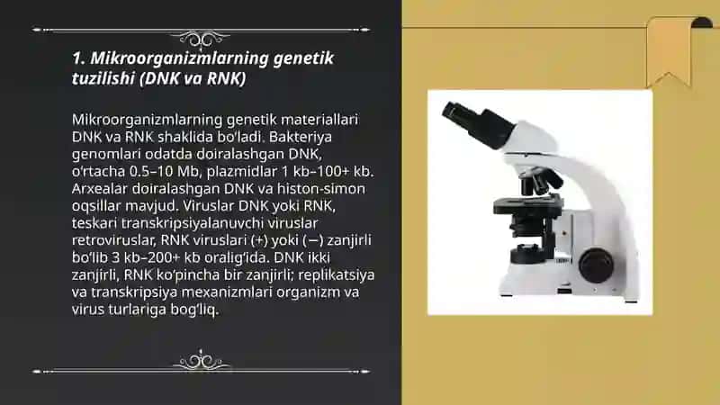 Mikroorganizmlar genetikasi 3