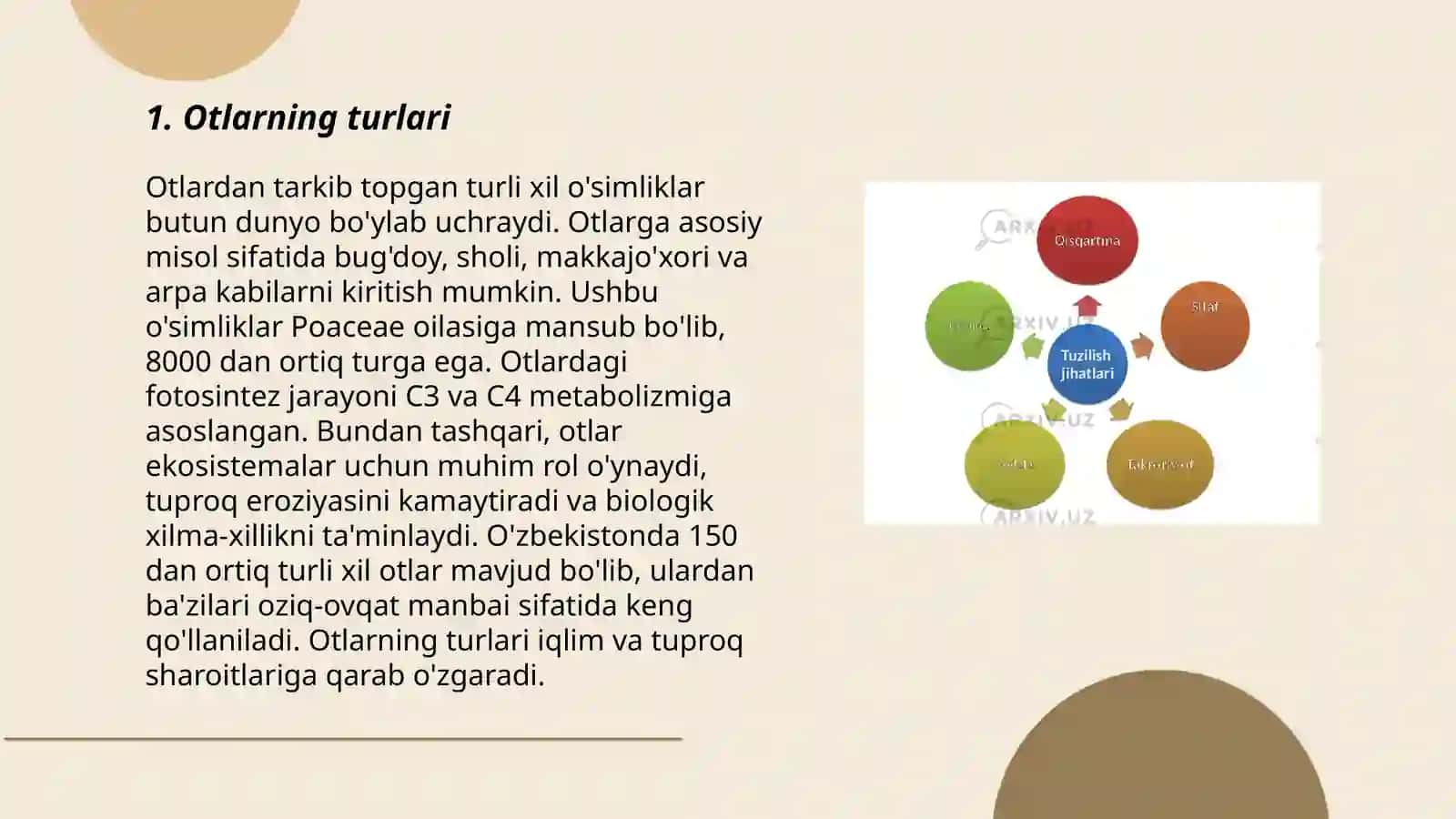 Ot so'z turkumi 3