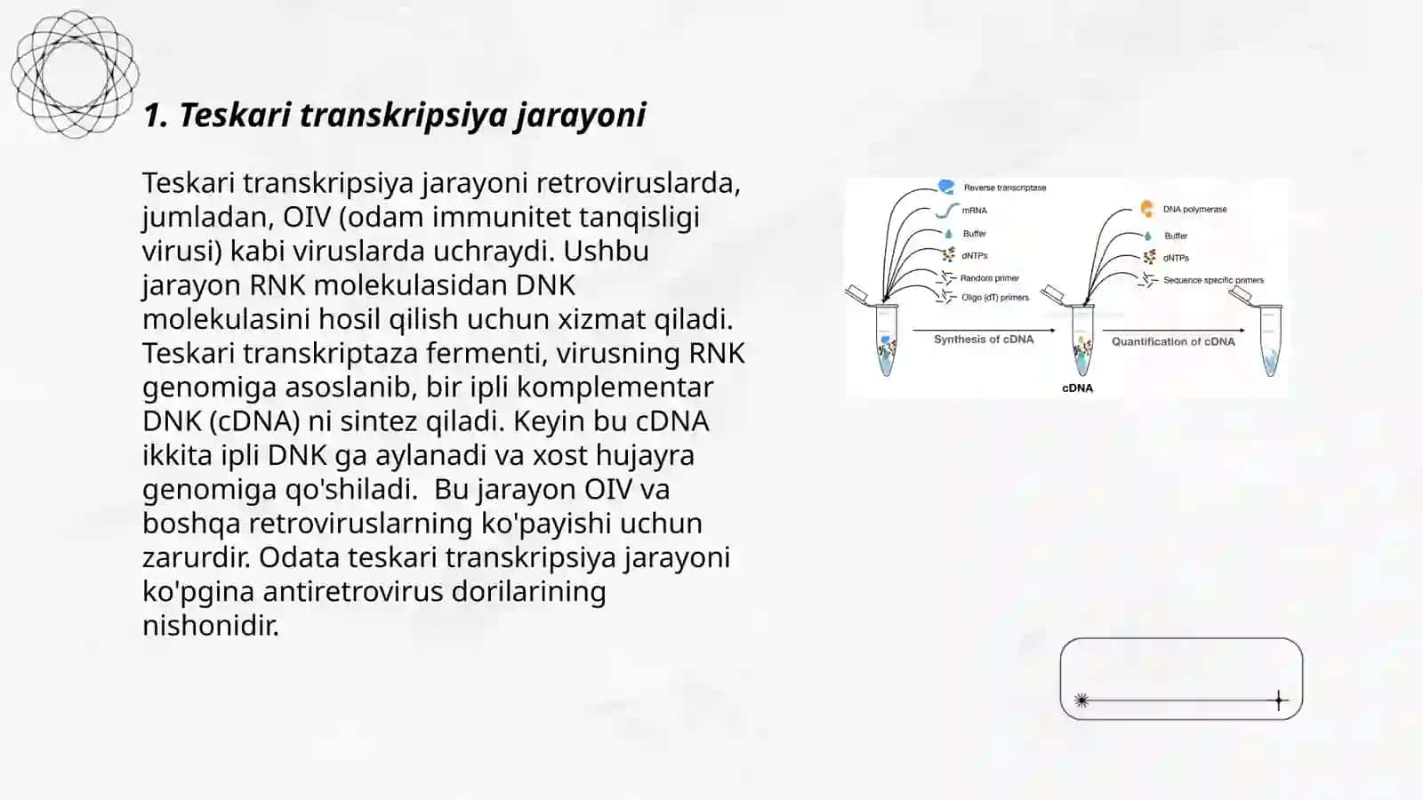 Teskari transkripsiya 3