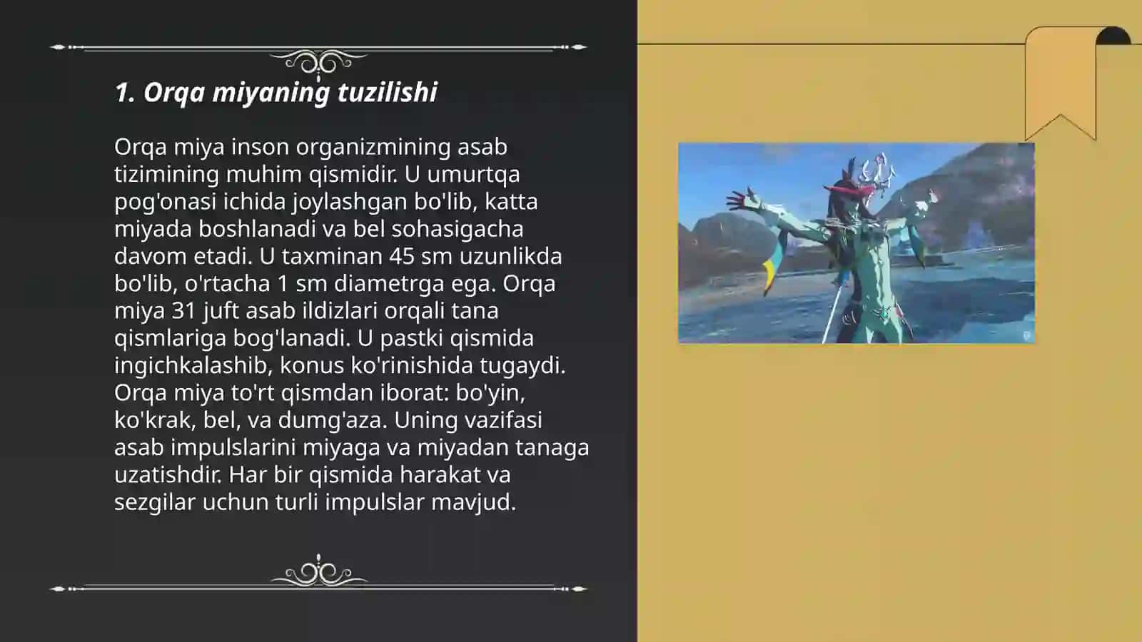 Orqa miyalarning tuzilishi va yosh xususiyatlari 3