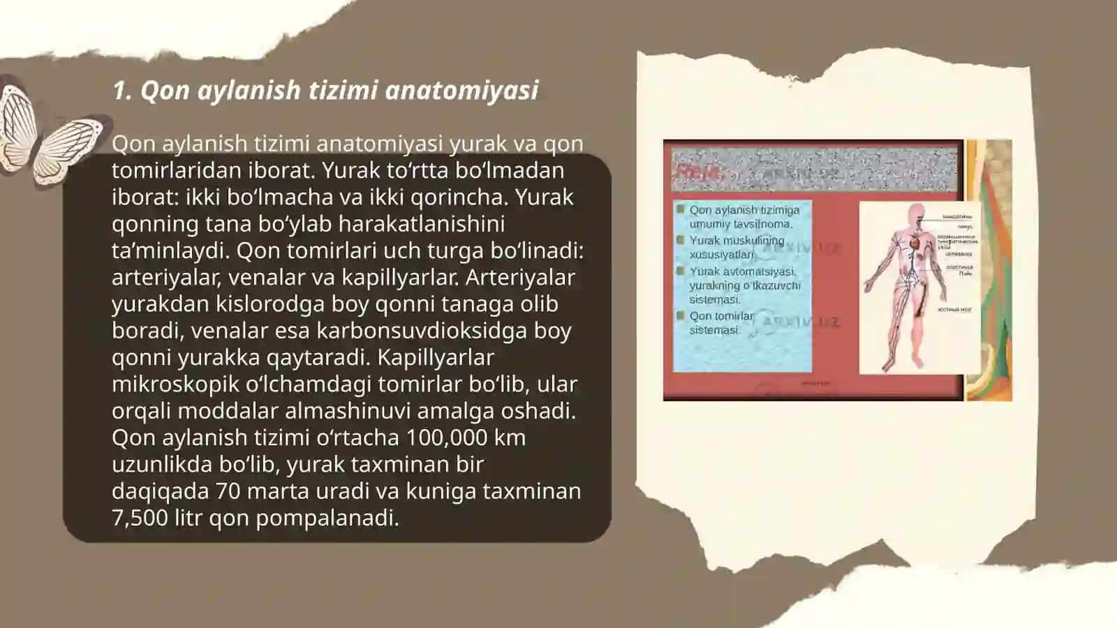Qon aylanish sestimasi 3