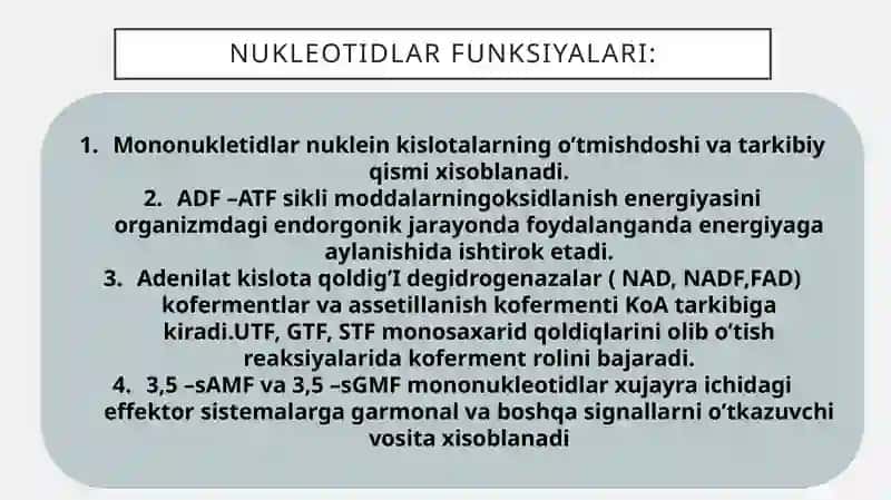 Nukleotidlar almashinuvi 3