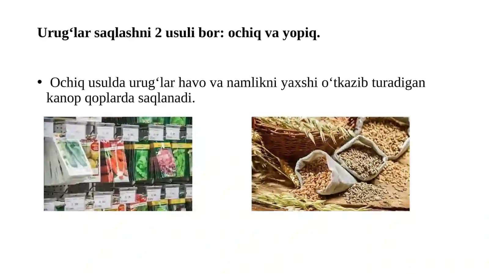 Urug‘larni saqlash, xujjatlashtirish va sotish 3