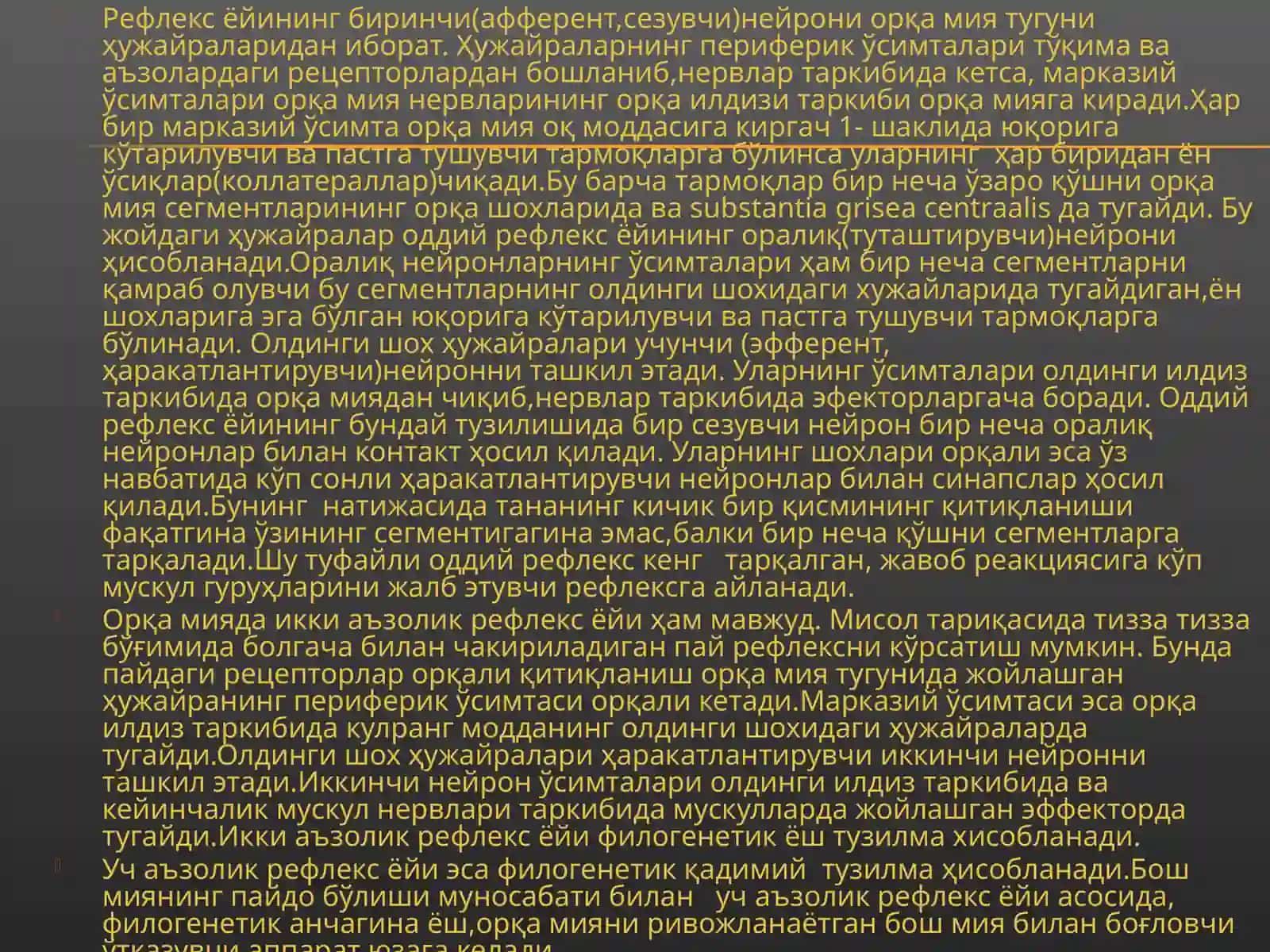 Бош мия пўстлоғи 3