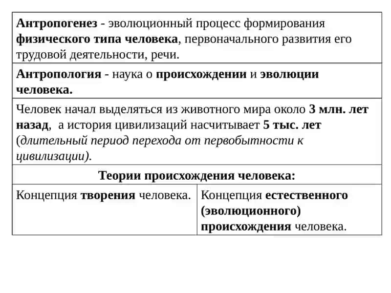 Древнейшая стадия истории человечества 3