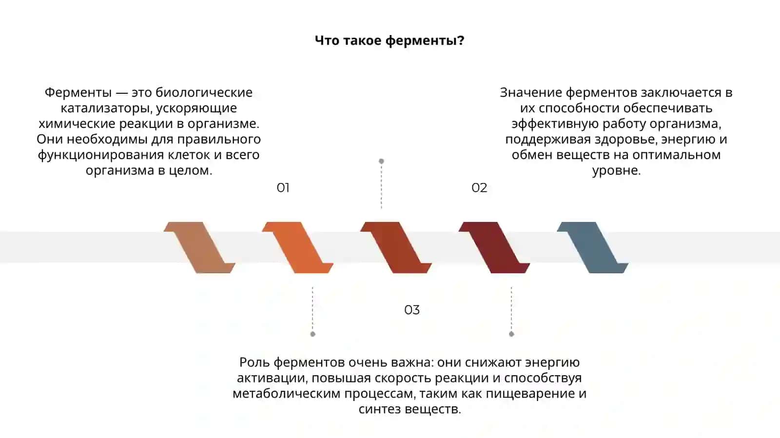Ферменты их роль значение 3