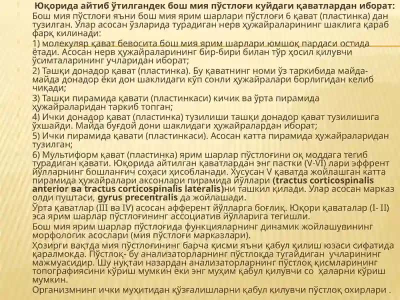 Бош мия пўстлоғи 3